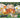 100-Piece Puzzles
