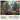 Blooming Oasis Jigsaw Puzzle