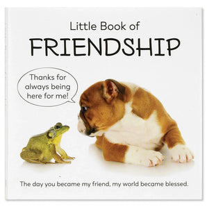 Little Book of Friendship