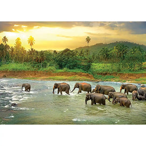 Rainforest 1000 Piece Jigsaw Puzzle