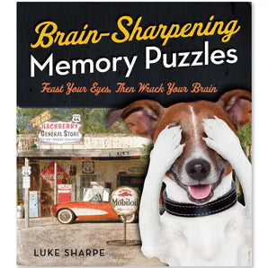 Brain Sharpening Memory Puzzles Book