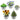 Grow Your Own Mini Garden Kits