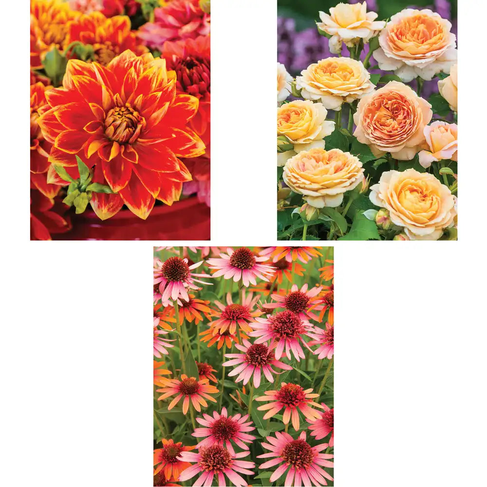 Set of 3 : Floral Theme Jigsaw Puzzles