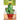 Glass Garden Cactus Collection