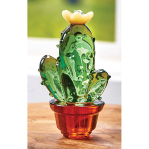 Glass Garden Cactus Collection