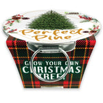 Grow Your Own Mini Garden Kits