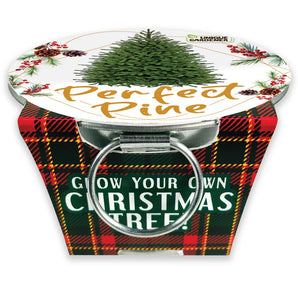 Grow Your Own Mini Garden Kits