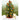 Winter Tree Pop Up Card