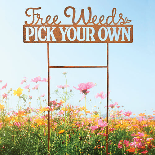 Unique Gifts for Any Occasion.