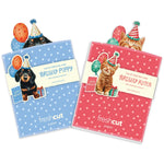 Mini Birthday Pop-Up Card