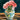 Flower and Garden Puzzles
