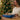 12 Days Of Puzzles Countdown To Christmas Adventure