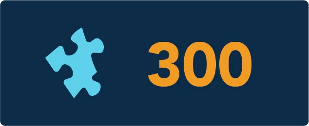 300 Piece Jigsaw Puzzle