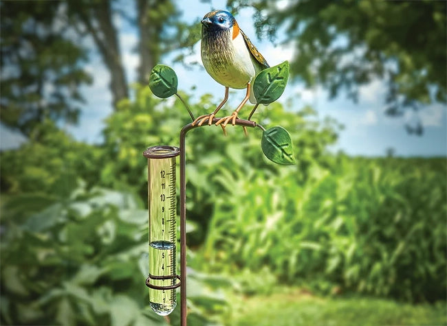 The Perfect Gift Starts Here