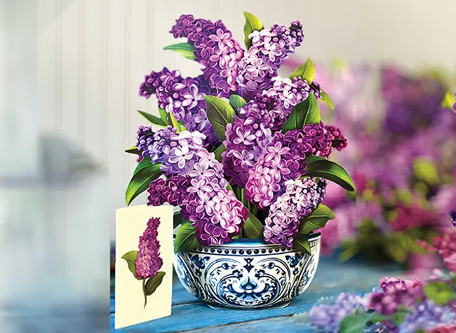 Shop Our Unique Gifts