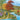 Nature and Landscape Puzzles