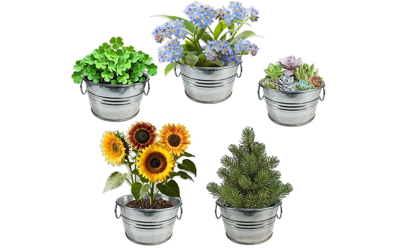 Unique |Gifts for| Any Occasion.